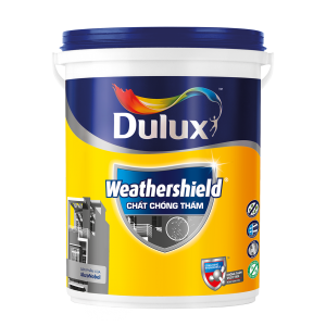 Chất chống thấm Dulux Aquatech
